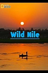 Постер к  Дикий Нил