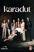 Постер к сериалу Чёрная шелковица