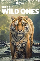 Постер к сериалу В мире дикой природы