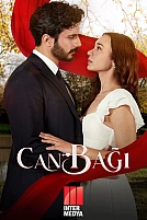 Постер к сериалу Струны души