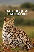 Постер к сериалу Заповедник Шамвари