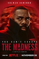 Постер к сериалу Безумие