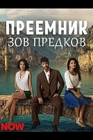 Постер к сериалу Преемник: зов предков