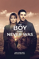 Постер к сериалу Мальчик, которого никогда не было