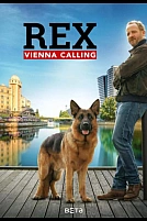 Постер к сериалу Комиссар Рэкс: Перезапуск