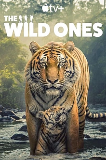 Постер к сериалу В мире дикой природы