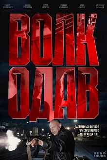 Постер к сериалу Волкодав