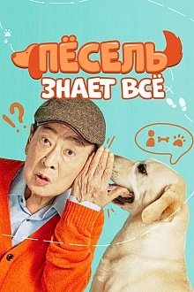 Постер к дорамe Пёсель знает всё