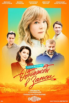 Постер к сериалу Однажды в Залесье