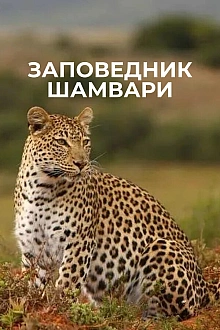 Постер к сериалу Заповедник Шамвари