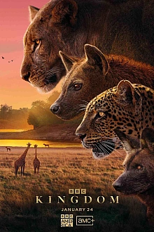 Постер к сериалу Царство животных