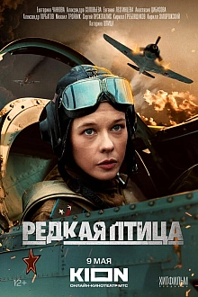 Постер к сериалу Редкая птица