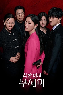 Постер к дорамe Госпожа Инкогнито