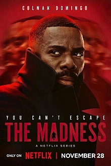 Постер к сериалу Безумие