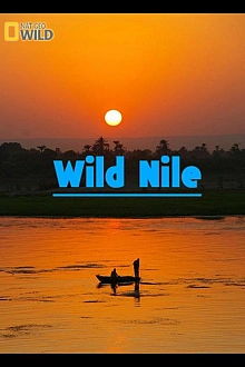 Постер к сериалу Дикий Нил