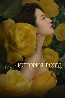 Постер к дорамe История розы