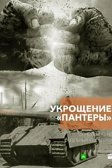 Постер к сериалу Укрощение «Пантеры»