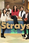 Постер к сериалу Бездомные животные