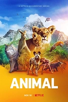 Постер к сериалу Удивительные животные