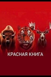 Постер к сериалу Красная книга