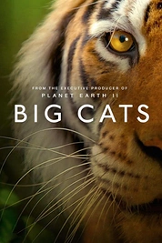 Постер к сериалу Большие кошки