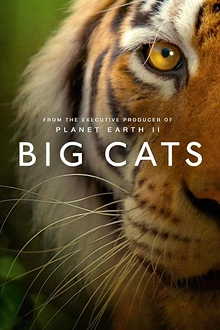 Постер к сериалу Большие кошки