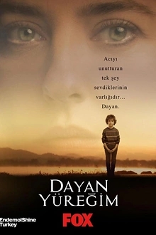 Постер к сериалу Держи, сердце моё