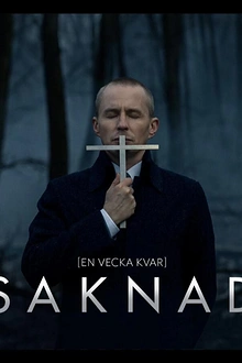 Постер к сериалу Пропавшая