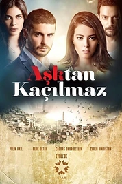 Постер к сериалу От любви не убежать