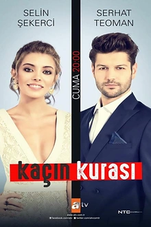 Постер к сериалу Искусный