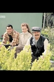Постер к сериалу Мои дети