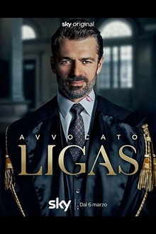 Постер к сериалу Адвокат Лигас