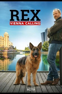 Постер к сериалу Комиссар Рэкс: Перезапуск