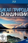 Постер к сериалу Дикая природа Скандинавии
