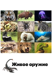 Постер к сериалу Живое оружие