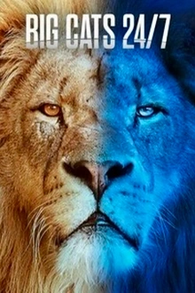 Постер к сериалу Большие кошки днём и ночью