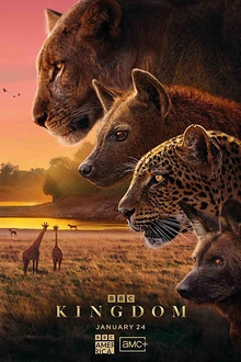 Постер к сериалу Царство животных