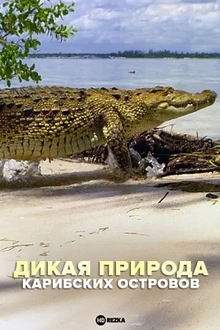 Постер к сериалу Дикая природа Карибских островов