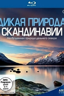 Постер к сериалу Дикая природа Скандинавии