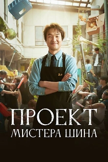 Постер к дораме Проект мистера Щина