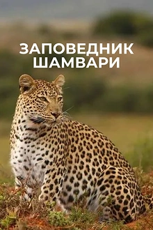 Постер к сериалу Заповедник Шамвари